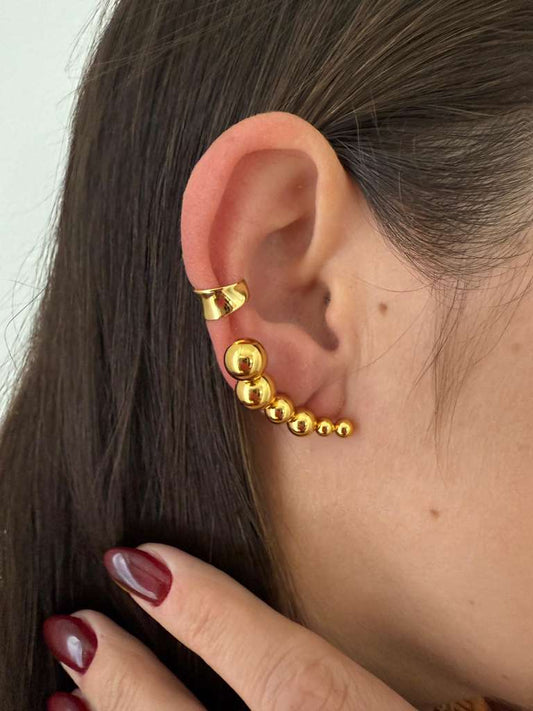 Lisa Earcuff